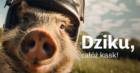 "W Podlaskiem jeżdżę z kaskiem". Zabawna kampania dla rowerzystów