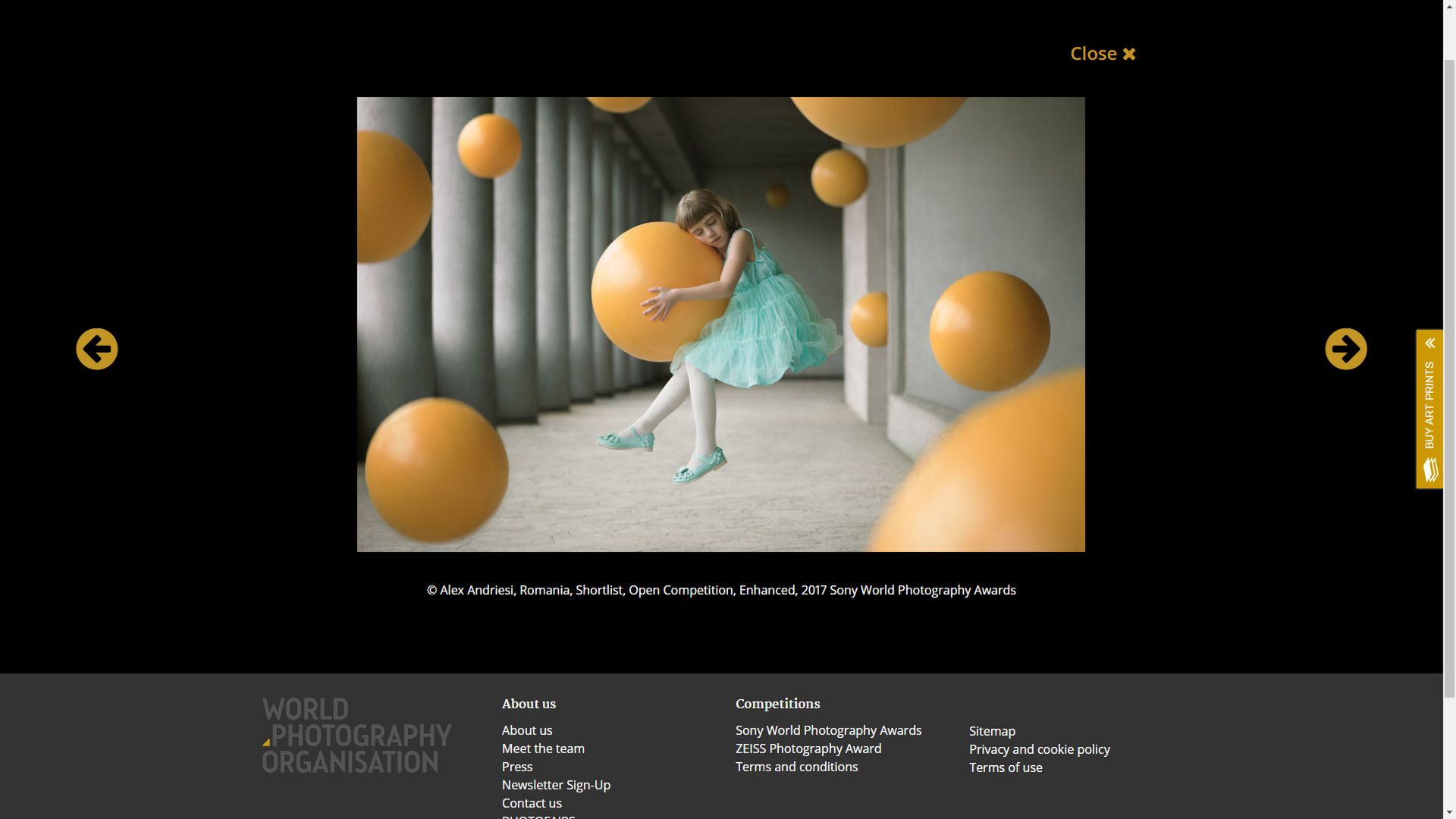 Czy doszło do plagiatu w konkursie fotograficznym Sony World Photography Awards 2017? 2