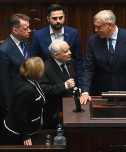 "Śmierdzielu, kanalio". Kaczyński "zwyzywał" Giertycha