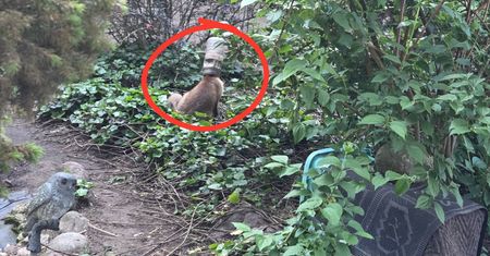 Miał głowę w słoiku. Liczyła się każda minuta. Pomoc przyszła w porę