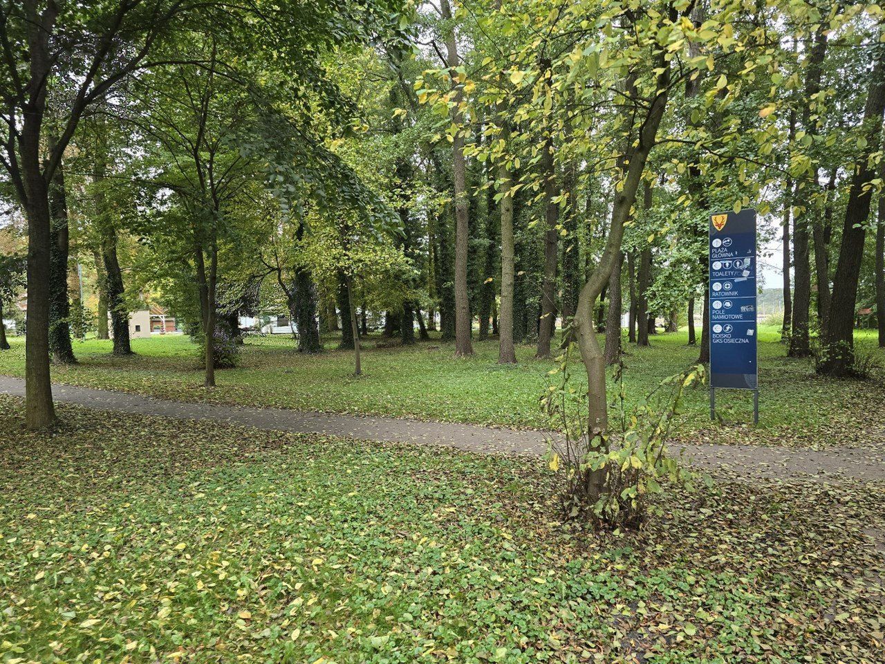 Letnisko w Osiecznej koło Leszna