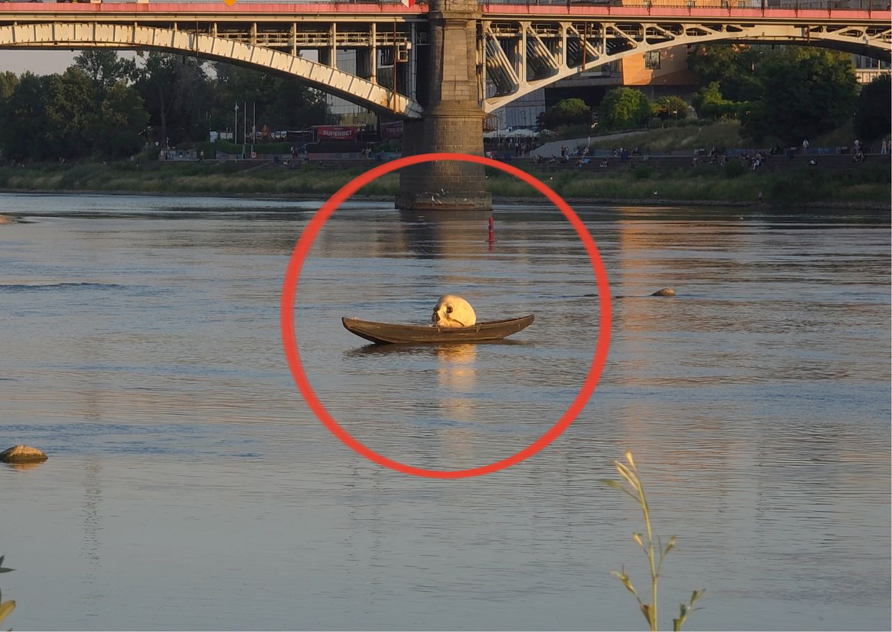 Wideo z Warszawy. Zaskakujący widok na Wiśle
