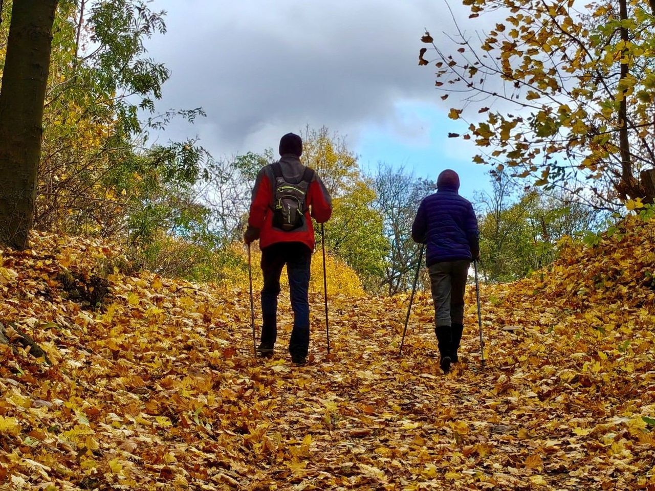 Góra Świętej Doroty zachwyca jesienią. Złote liście, szum drzew i nieziemskie widoki