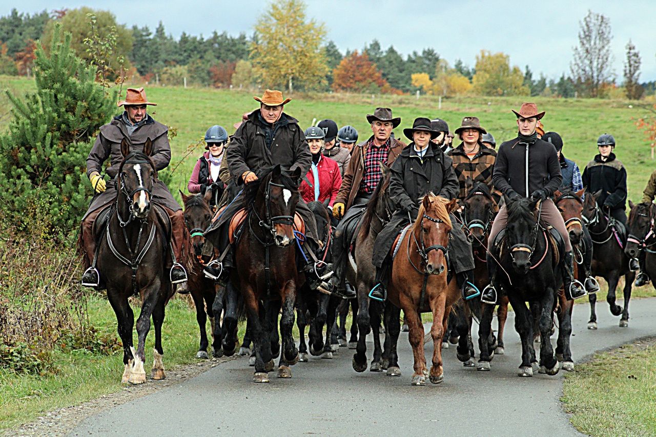 Regietów: Tam, gdzie konie tańczą z wiatrem. Spęd Koni Huculskich