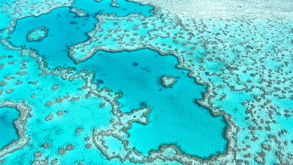Wielka Rafa Koralowa znajduje się w Australii