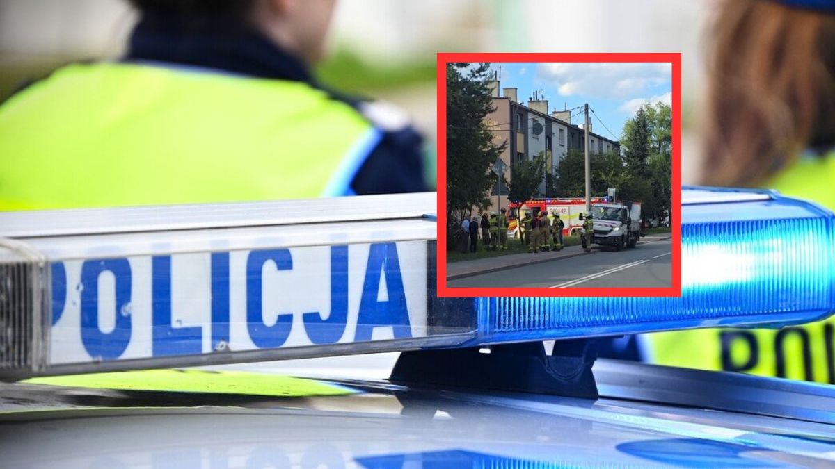 3-latek jechał Audi