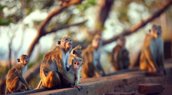 Podróż przez życie