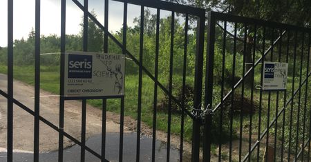 Warszawa. Łosiowe Błota nie tylko dla łosia. Leśna budowa w trybie ustawy koronawirusowej