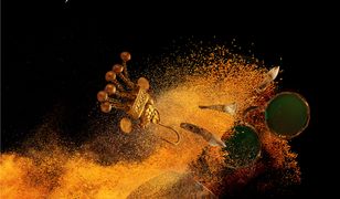 Grody, garnki i uczeni. O archeologicznych tajemnicach ziem polskich