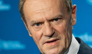 Donald Tusk rusza w Polskę. Które regiony odwiedzi?