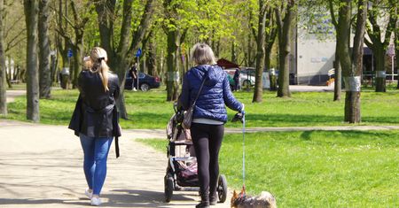 Panika w Warszawie. Zatrucia psów po spacerach