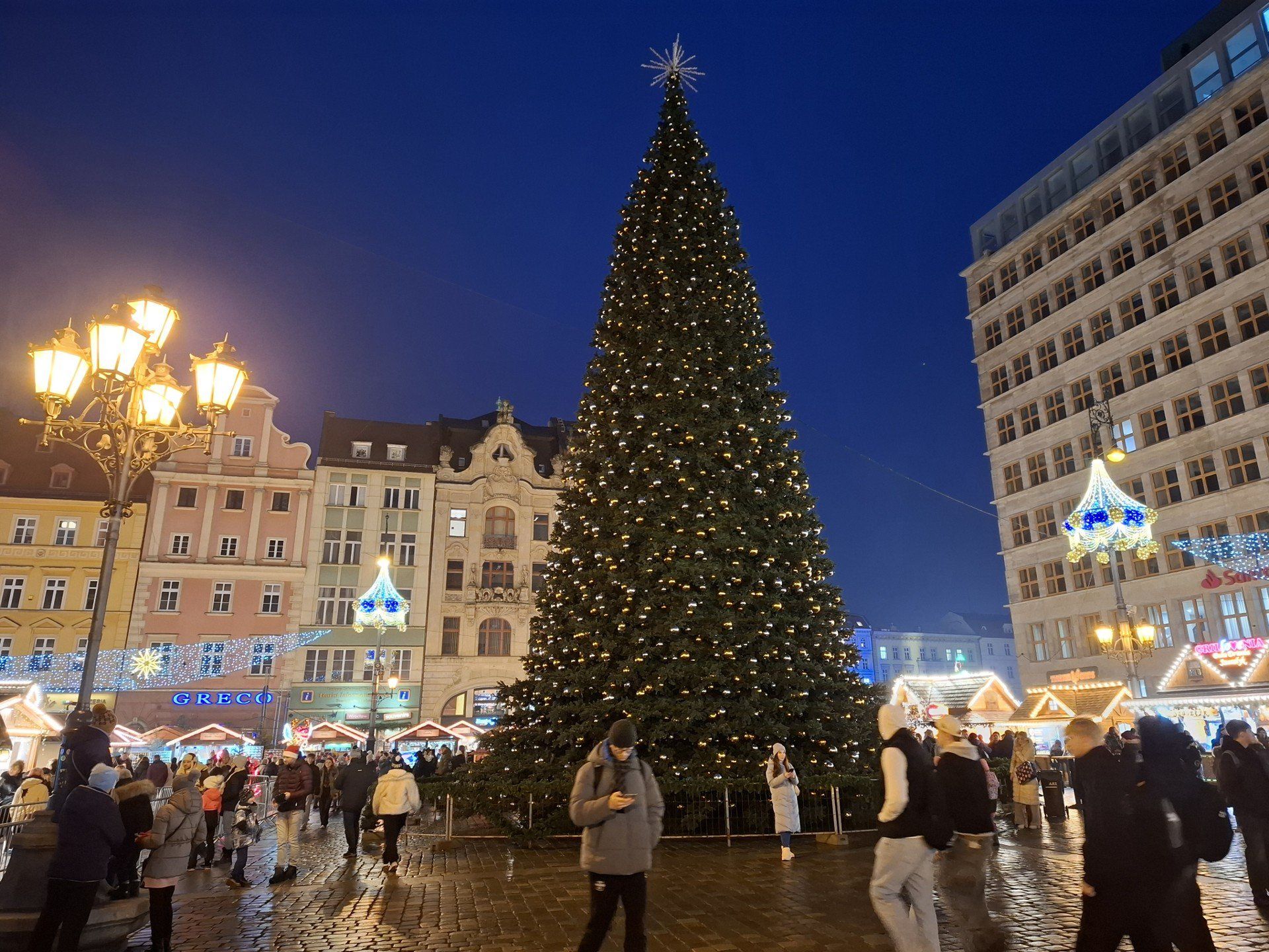 Oficjalne rozświetlenie choinki na wrocławskim Jarmarku Bożonarodzeniowym