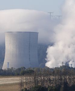 Uruchamiają wszystkie reaktory jądrowe. Co tydzień nowy