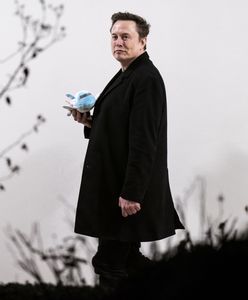 Kuriozalne tłumaczenie Muska. Wypomnieli mu słowa o Ukrainie