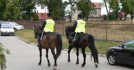 Samochód uderzył w wierzchowca