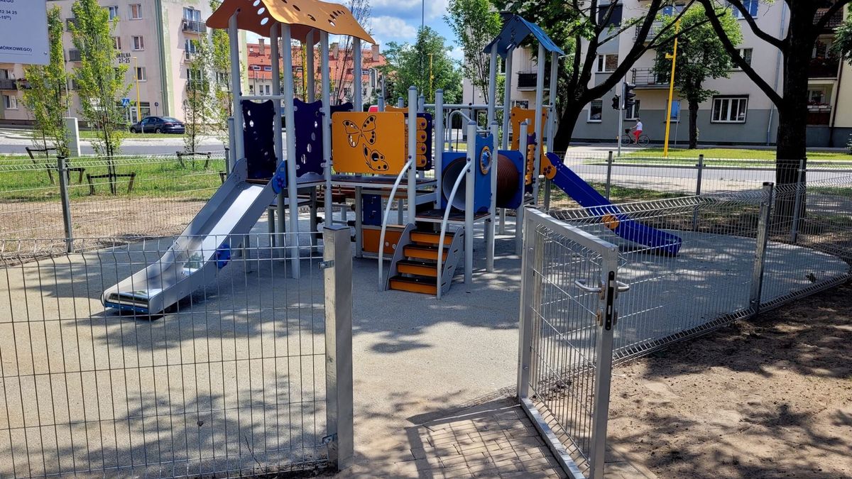zdjęcie