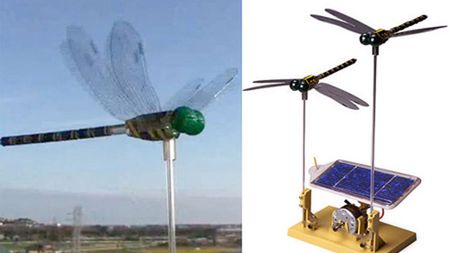 Solarna ważka [wideo] 1