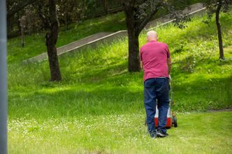 Koszenie traw i wyrywanie chwastów nie ma sensu. Naukowcy nie mają wątpliwości