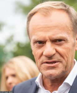 Powrót Tuska? Polacy powiedzieli, co o tym sądzą. Nowy sondaż