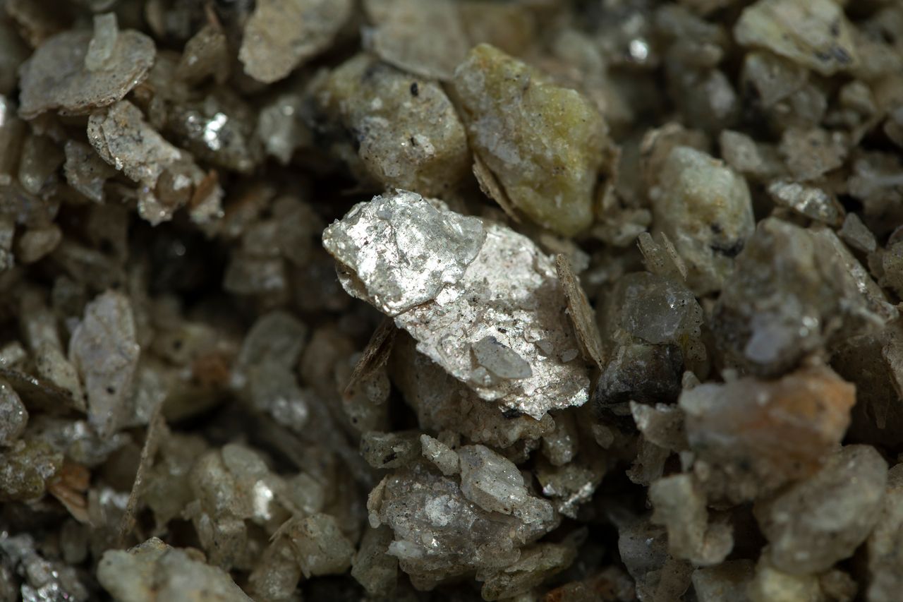 Polski patent na lit. Nawet 95 proc. skuteczności