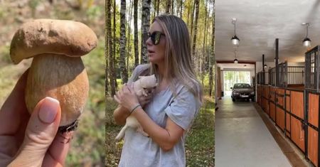 Małgorzata Rozenek oprowadza fanów po włościach swoich rodziców: "RAJ NA ZIEMI! ŻAŁUJĘ, że jeżdżę po świecie, zamiast tu być" (ZDJĘCIA)