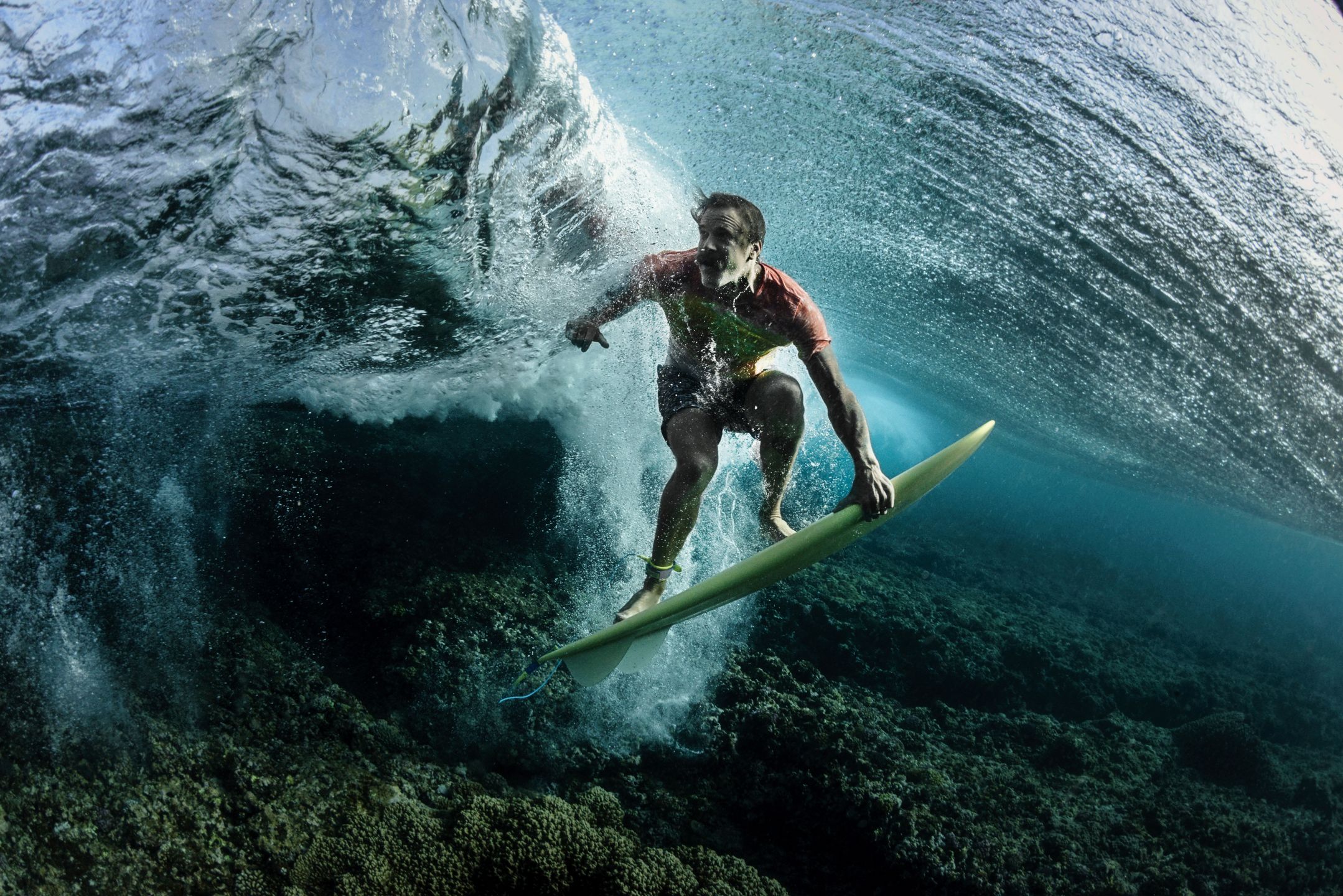 Underwater Photographer of the Year 2018 - niesamowity podwodny świat na wyciągnięcie ręki 14