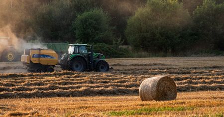 Coraz mniej rolników je wybiera. Jest jeden wyjątek