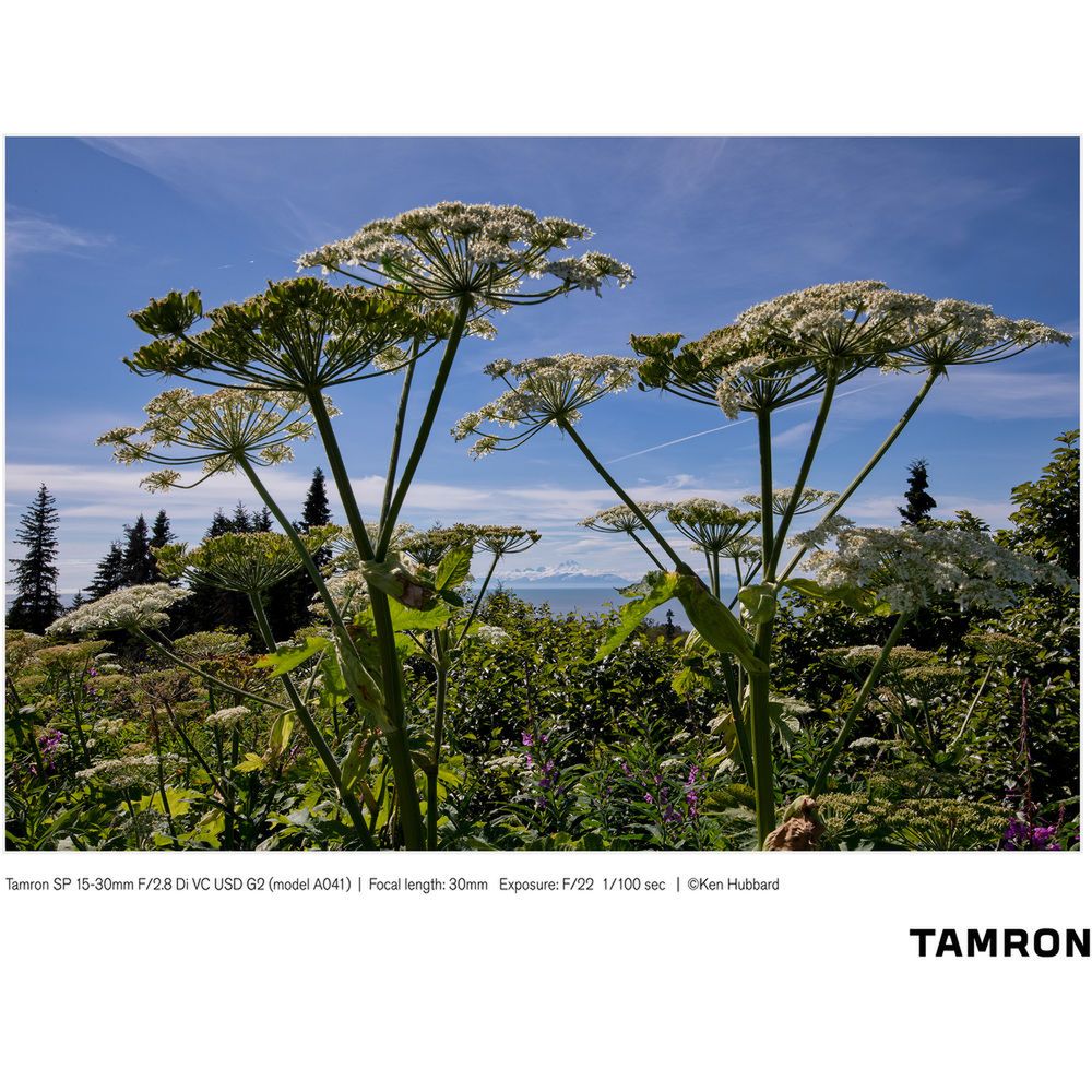 Tamron 15-30 mm f/2.8 do Canona i Nikona już niedługo 8