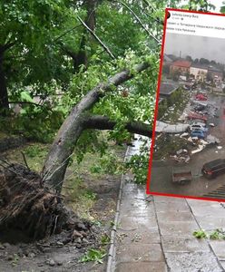 Wichura spustoszyła Tomaszów Mazowiecki. Zwołali sztab kryzysowy