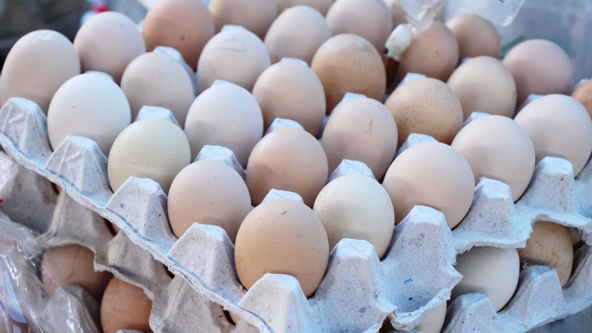 Chów nie wpływa znacznie na jakość odżywczą wybieranych przez nas jajek