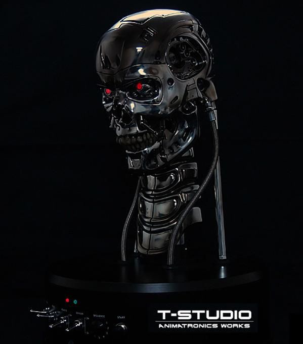 Fot. t-800.jp