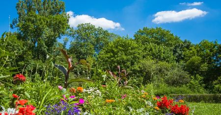 Warszawa. Park Skaryszewski w kwiatach. Zarząd Zieleni posadził nowe rośliny