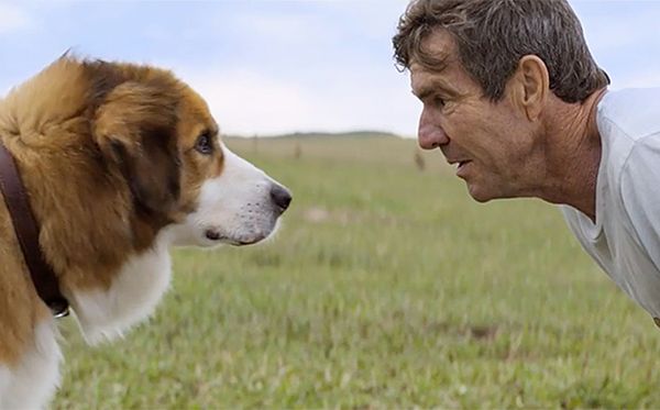 "A Dog's Purpose": W roli głównej czworonóg