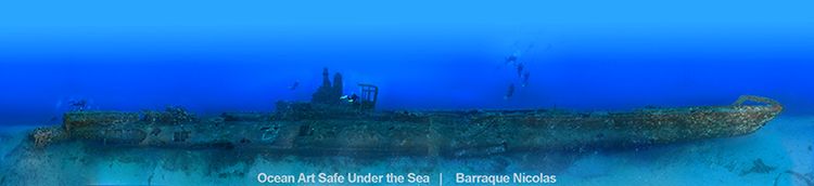 Najlepsze zdjęcia oceaniczne w konkursie Safe Under the Sea 20