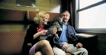 Rozpoznaj kultowe polskie komedie. Mistrz trafi 14 razy
