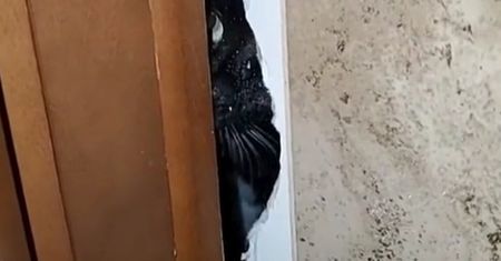Hydraulicy zrobili swoje i poszli. Klient oniemiał, gdy to zobaczył
