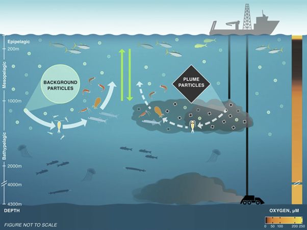 Tak wyglądałoby zanieczyszczenie przy wydobyciu pod wodą