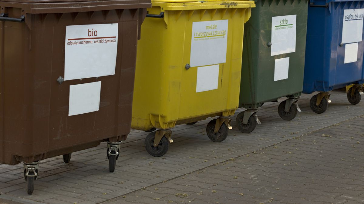 odzysk, marnowanie jedzenia, kosz, kontener, nieużytek, plastik, odpady, eko, ekologia, gospodarka komunalna, zbieranie odpadów