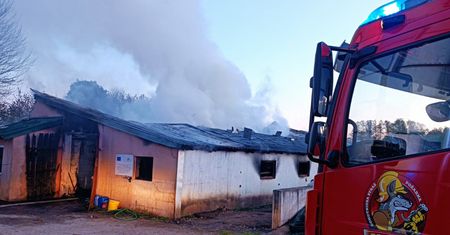 Tragiczny pożar na Podlasiu. Zginęło 100 krów