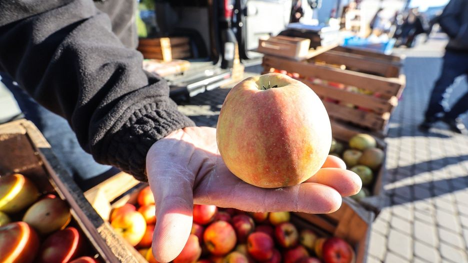 Jesienny Podkarpacki Bazarek w Parku Papieskim Rzeszowie