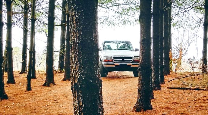 Morderstwo na prowincji