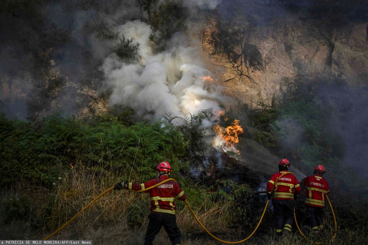 Pożary w Portugalii
 