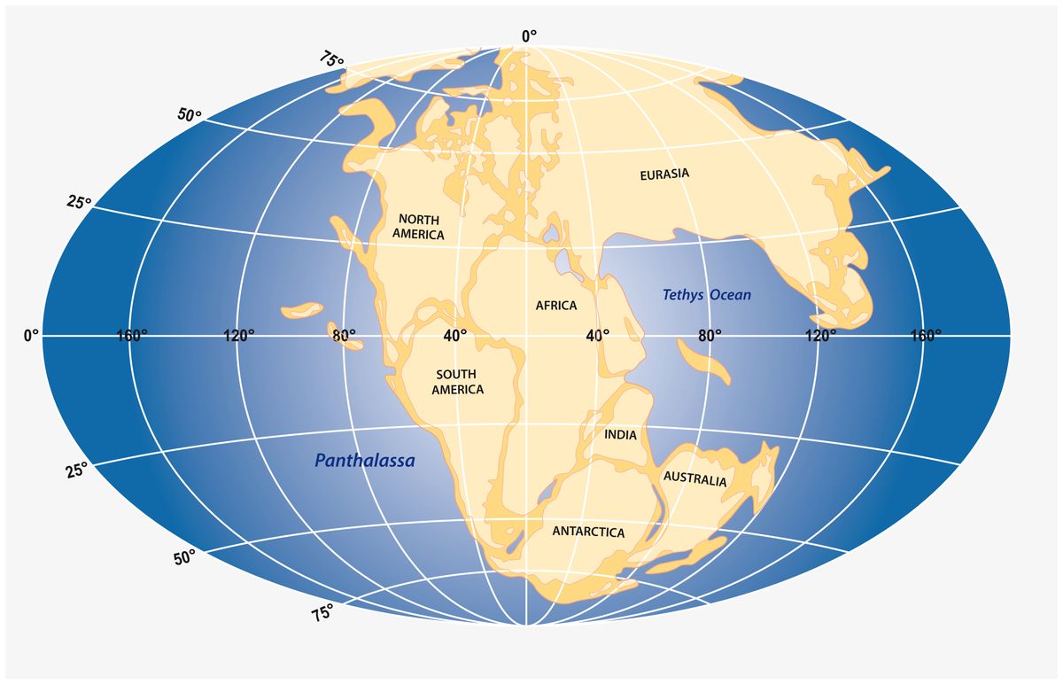 Grafika przedstawiająca superkontynent (Pangea)
