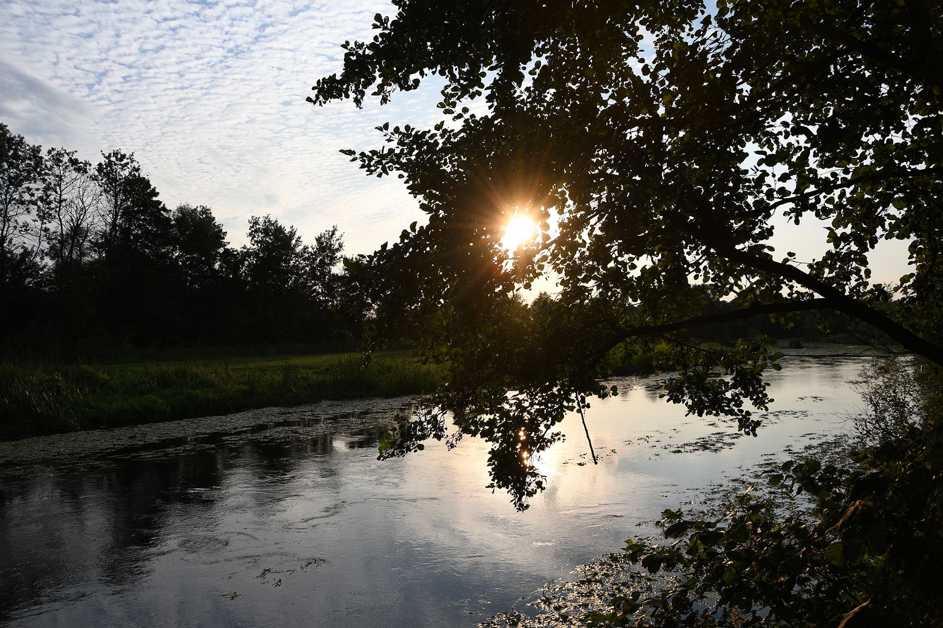 Nikon D7500 - przepustka do poważnej fotografii czy drogi gadżet? [test] 106