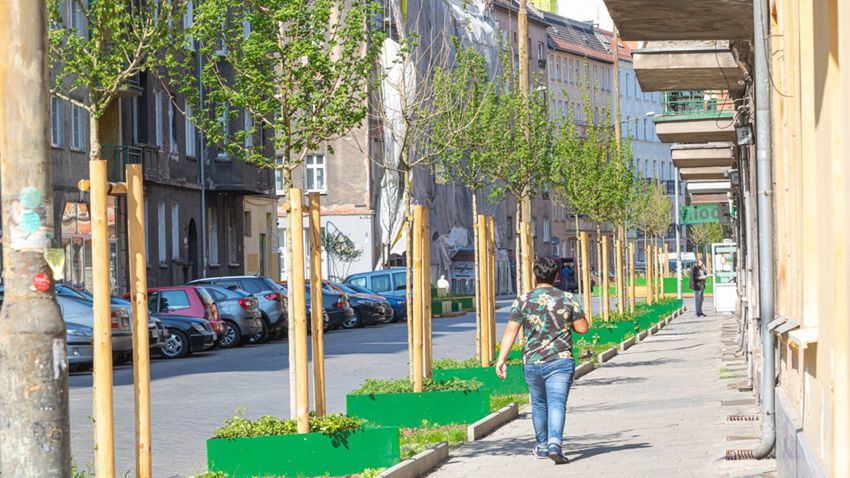 ulica wiosna Wrocław dzień ziemi