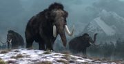 Genów nie oszukasz. Mamut mamutowi nie był równy
