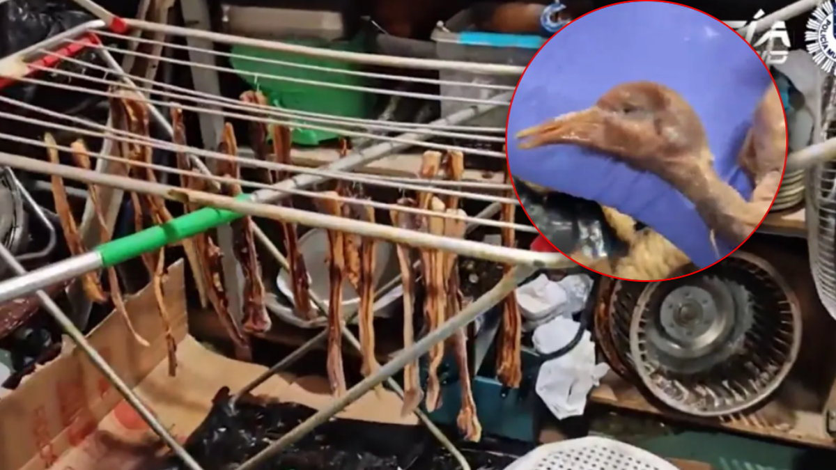 Policja odkryła, co sprzedawano w restauracji.