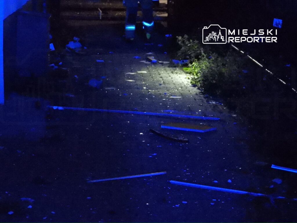 Ziemna ścieżka oświetlona niebieskim światłem, pokryta odpadkami i zaroślami, w ciemnym otoczeniu.