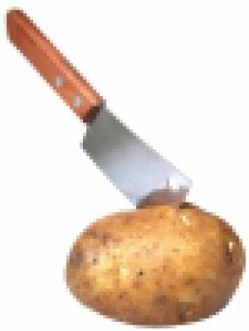 Jaki plon jadalnych ziemniaków