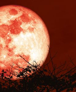 Truskawkowy Księżyc w czerwcu 2025. Niezwykła pełnia na polskim niebie